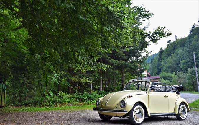 Volkswagen Garbus cena 129000 przebieg: 1000000, rok produkcji 1972 z Zamość małe 121